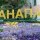 Что Можно Посмотреть в Анапе